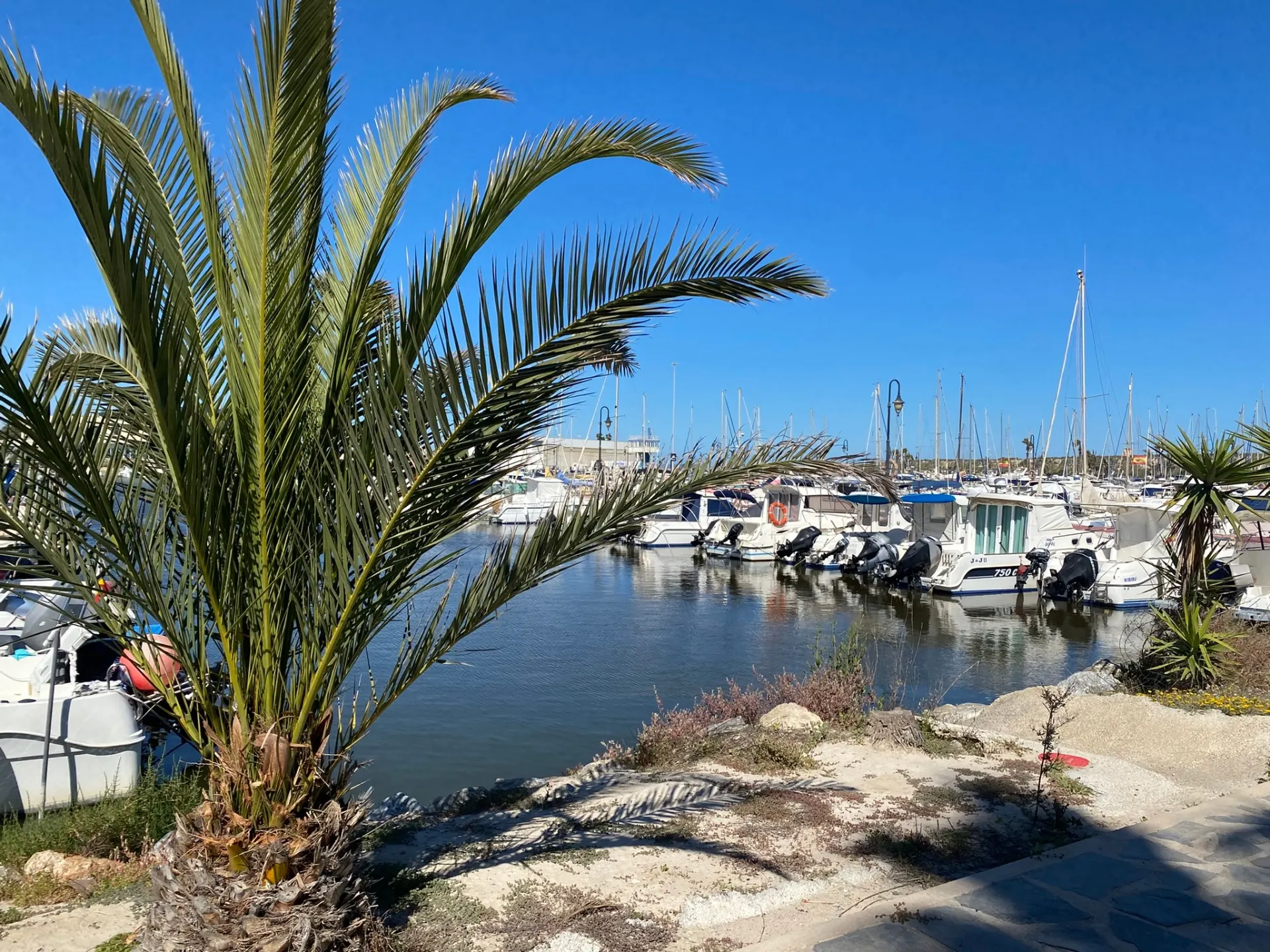 Ankunft am Hafen